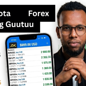 Forex Trading