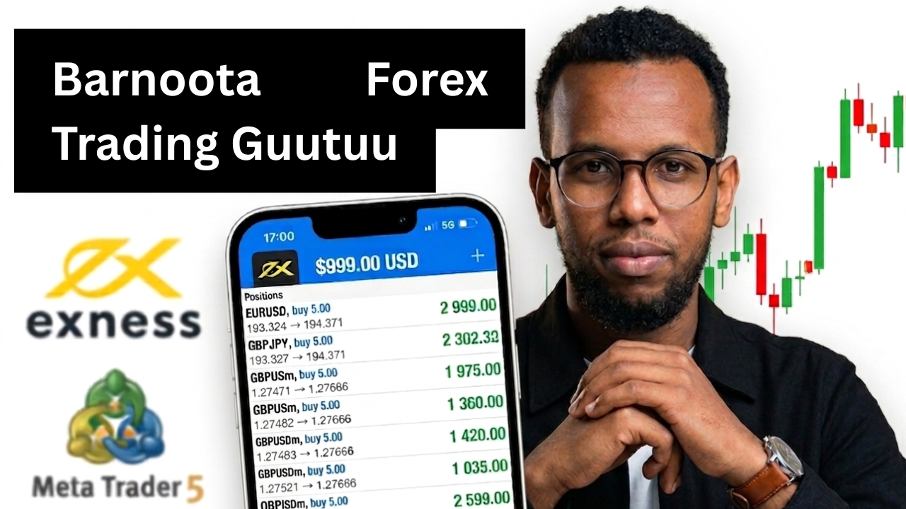 Barnoota Forex Trading Afaan oromoo