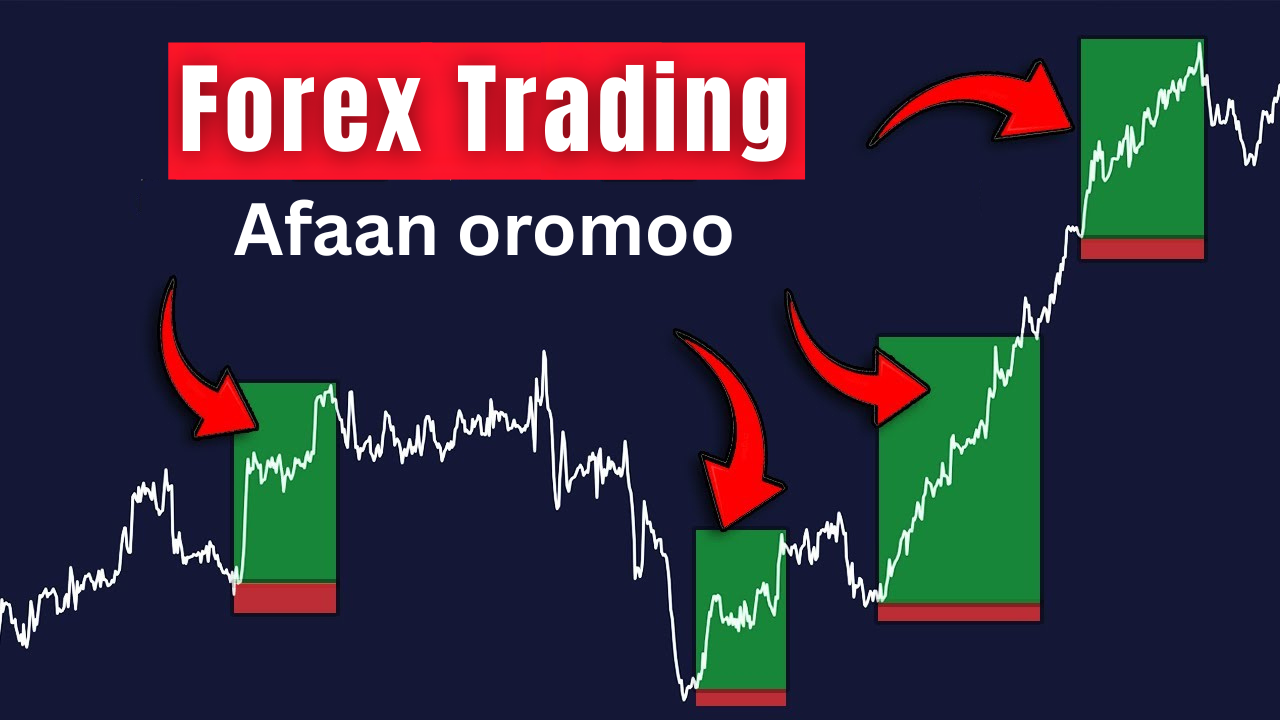 Forex Trading