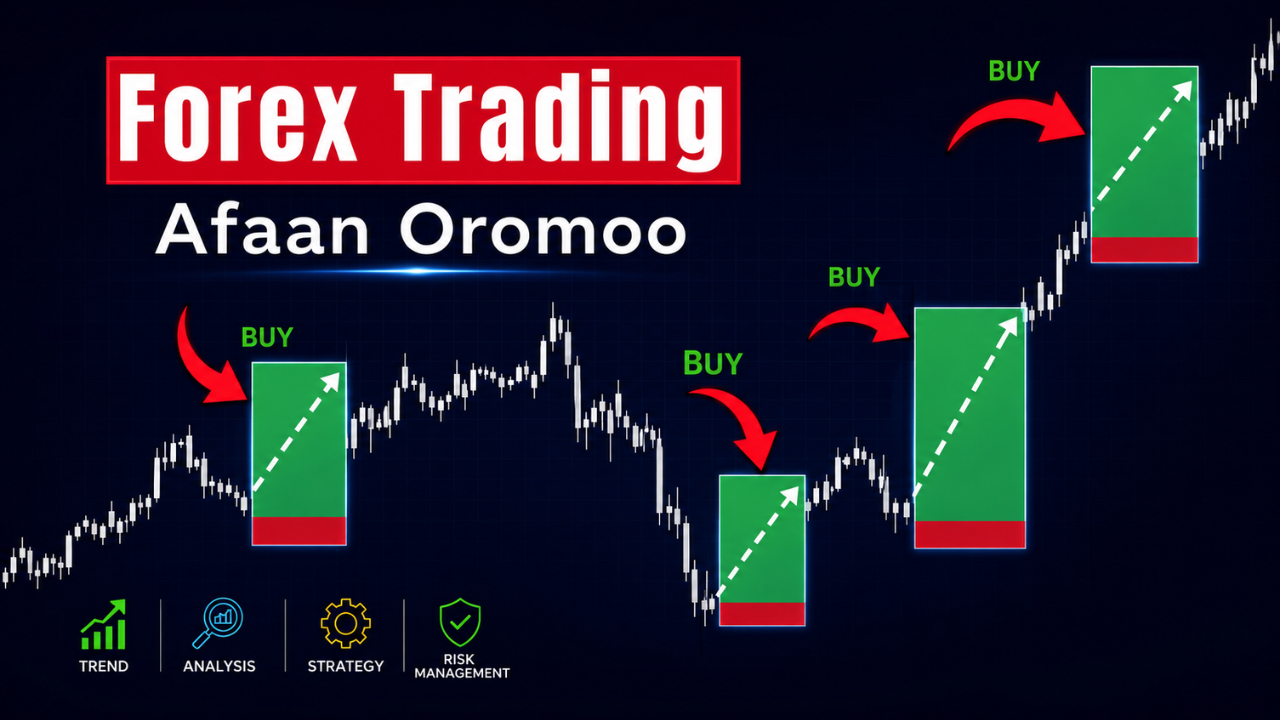 Read more about the article Forex Trading Afaan Oromoo